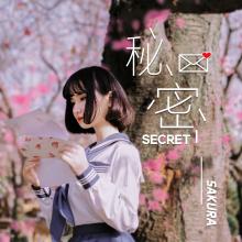 《秘密》小樱花
